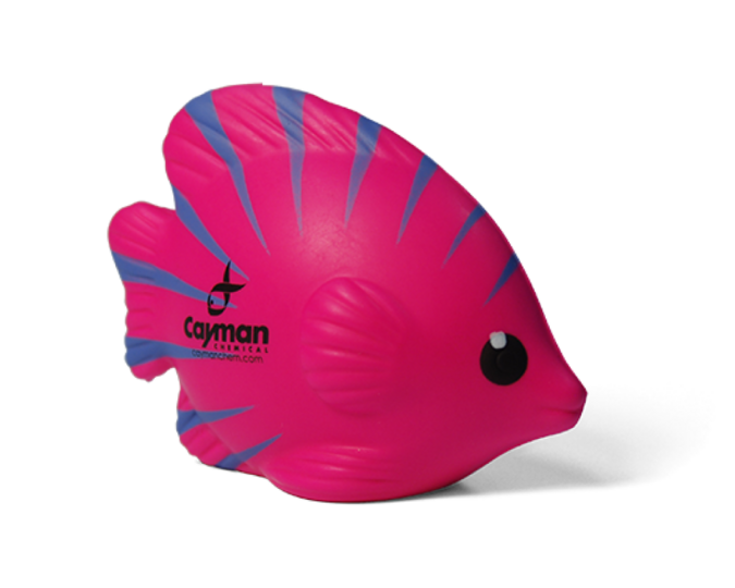 Squish Fish