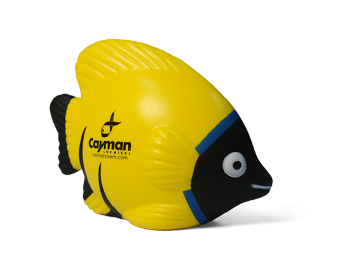 Squish Fish