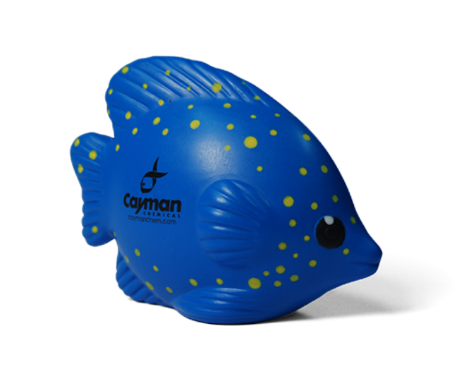 Squish Fish – Cayman Dry Ice