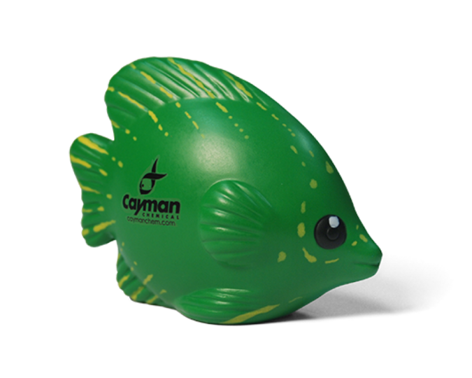 Squish Fish